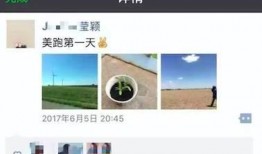 朋友圈最新爆料,揭秘XX惊人内幕！